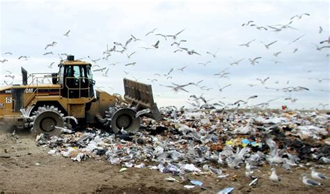 city of richland|city of richland landfill.
